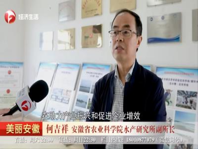 《安徽经视》：安徽亚搏app下载：推进科技成果转化 助力乡村振兴